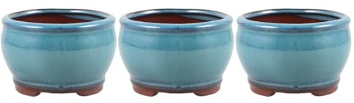 POPETPOP 3 Piezas Planta Suculenta En Maceta De Espárragos Maceta para Plantas Suculentas De Cactus De Escritorio De Escritorio Balcón Pequeña Arcilla Morada