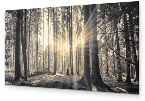 murando - Tableau Acoustique Paysage 135x45 cm 1 Partie - Décoration Murale Anti-Bruit Isolation Phonique Chambre Impression sur Toile - Forêt en Noir et Blanc avec Lumière Naturelle c-B-0077-b-c