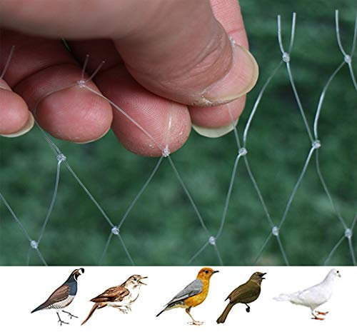 Trädgård anti-fågelnät för beskärningsskydd, transparent nät med 2 × 2 cm hål 15 x 15 m, perfekt för fruktbuskar och växter