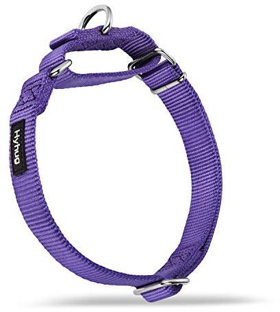 Hyhug Martingale Dog Collars, Large Purple, Escape Proof | Heavy-duty no-pull nylon, secure fit for strong dogs. Great for training walks and park outings. Durable & easy adjust