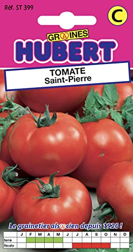 Graines de Tomate Saint-Pierre - 0,5 grammes