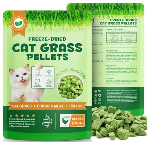 Cat Grass Treats for Indoor Cats