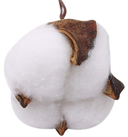 10PCS naturale essiccato bouquet di fiori decorazione cotone secco ramo casa decorazione matrimonio casa confortevole ed ambientale