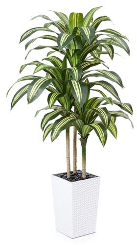 VeriNatural Artificial Dracaena Tree 150 cm - UV-Resistant Realistic Faux Large Green Plastic Fake Plant with White Taper Planter - Tall Artificial Plants for Home Garden Office Indoor Decor, VN127