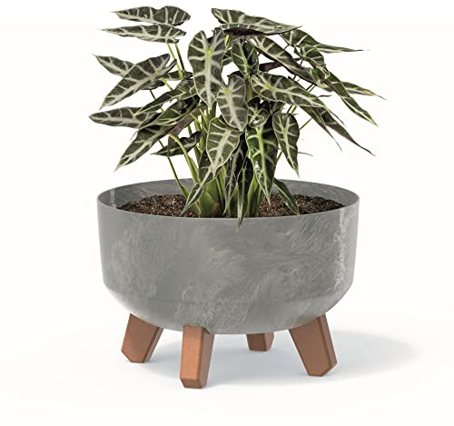 botle bonsai skål träd mini trädgård blomkruka på fötterna planteringskruka D 23,5 cm ljusgrå plastkrukor med insats betong utseende överkrukor kaktusar