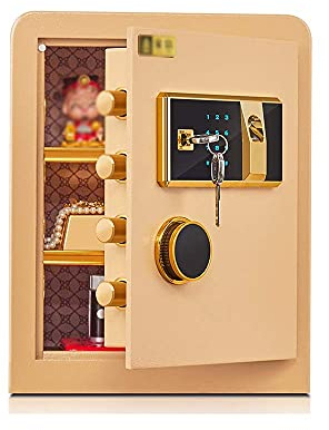 CANNKKL Armoire de ménage grande capacité en acier avec empreintes digitales 45 cm