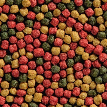 MANGIME PER CARPE KOI PESCI ROSSI PESCI LAGHETTO JAPAN KOI MIX 6 MM 15 KG