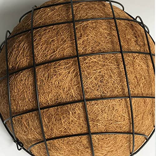 HELEVIA Halv Rund Tråd Växthållare (12 tum Dia 30 cm Höjd) | Hängande med Coconut Coir Liner för uteplats veranda trädgård dekoration