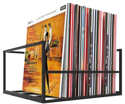 ARAHFUN Schallplatten-Aufbewahrung, schwarzes Metall, für bis zu 70 LP-Alben, handgefertigtes LP-Alben