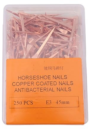 YUYTE Chiodi per Ferro di Cavallo da 250 Pezzi, Attrezzatura per Equitazione Equestre Antiruggine Placcata in Rame, con Scatola di Plastica, per la Cura degli Zoccoli del Cavallo e (45mm E3)