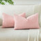 JOTOM 2er Set Cord Kissenbezüge Kissenhülle Dekorative Zierkissen Sofakissen Couchkissen Dekokissen Kissenbezug Deko Kissenhülle für Sofa Wohnzimmer 40x60cm Rosa