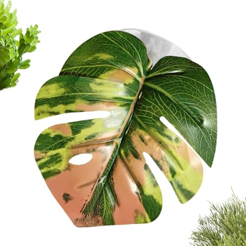 Qkbuza Araignée sauteuse pour reptile | Fournitures réalistes pour animaux de compagnie avec ventouse – Accessoires pour aquarium d'araignée sautante, hermite, crabe, serre, serpent, tapis, œuf, zoo