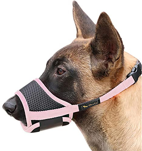 HEELE Maulkorb Für Hunde, Verstellbare Schlaufe, Atmungsaktiv, Sicherer, Schneller Sitz Für Kleine, Mittelgroße Hunde, Verhindert Das Beißen, Kauen Und Bellen (M, Rosa)