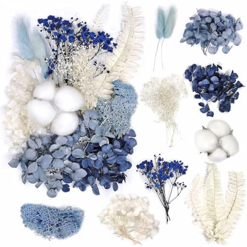 KSJEHW Getrocknete blumen trockenblumen zum basteln getrocknete blüten trockenblumen kranz schleierkraut getrocknet trockenblumen klein trockenblumen deko klein trockenblumen set(Blau Schwarz)