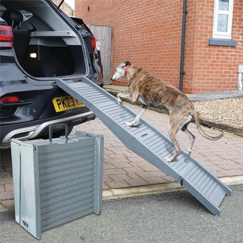 Bestfor Dog Pet Ramp - Premium, Non-Slip, Lightweight Ramp for Safe and Easy Pet Travel | Durable and Portable Design for Dogs for Cars, SUVs, and Beds