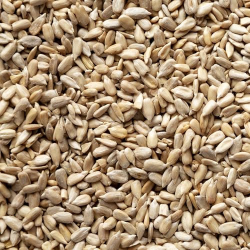 Weterton Feeds 20kg Sunflower Hearts for Wild Birds- Premium Grade