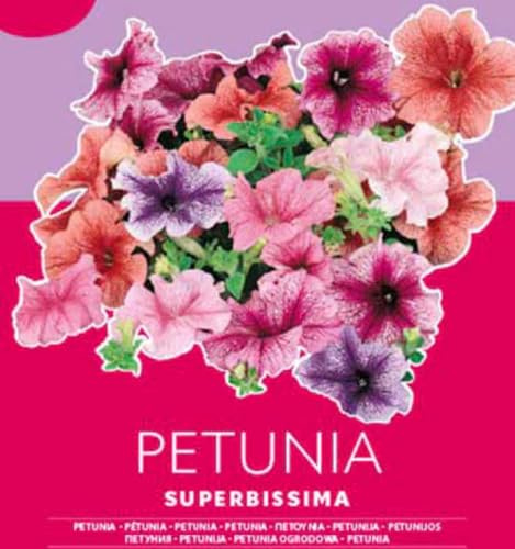 Semi Petunia SUPERBISSIMA NO OGM busta seme fiore Petunia Seeds Semillas de petunia Petuniensamen
