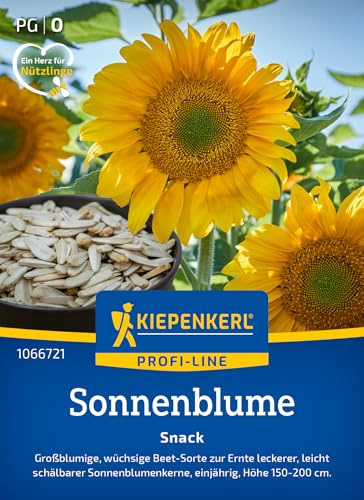 Kiepenkerl Profi-Line Sonnenblumensamen Snack 1066721 - Große goldgelbe Blüten mit ertragreicher Ernte leicht schälbarer Kerne - Wildblumensamen, Blumenwiese