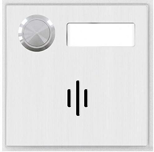 Behnke Modul Mikrofon oval in der Mitte + 1 Taste