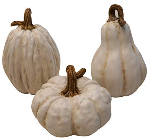 khevga - Set di zucche decorative autunnali