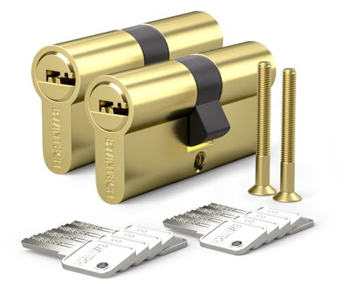 Bwintech 2 Piece Brass Key Lock 30/30mm Euro Brass Cylinder60mm With 10 Horizontal Brass Keys, Finish Polished Brass