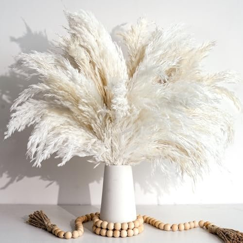 20 Weiß Pampasgras Deko – Ästhetische Vasen und Vintage Landhausstil Blumen für Wohnzimmer, Schlafzimmer & Badezimmer