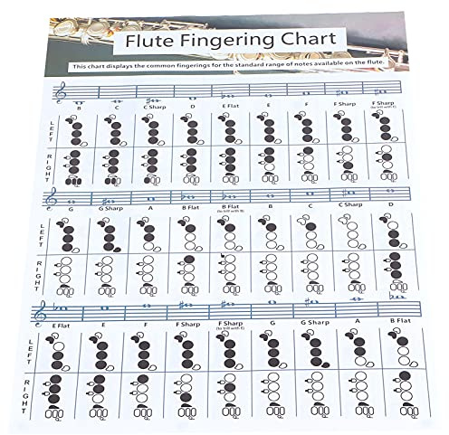 Flöjt Fingrar Diagram, Flöjtans Ackorddiagram Belagt Papper Lär Dig Flöjteknik Lämplig Flöjt Fingring övningsdiagram Flöjt Fingringbord för Alla Nivåer (Flöjt Fingringbord (Flute Fingering Table