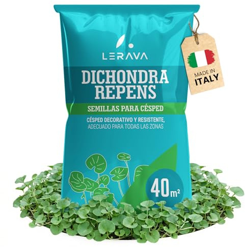 LERAVA Dicondra semi (40m²) - Non richiede taglio - Estrema resistenza alla siccità - semi dicondra per prato ideali per zone soleggiate e ombreggiate - dichondra repens sempre perfetto - 400g