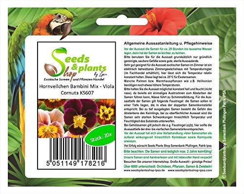 Pcs - 20x Violet de Corne Bambini Mix Viola Cornuta Pensées Graines KS607 - Seeds & Plants Shop by Ipsa