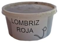Lombrices vivas variedad Dendrobaena. Tarrina con 20 unidades de lombrices adultas. Lombriz de tierra vivas. Ideal para elaborar compost. Aptas para uso en pesca. Vermicompostador. (1)