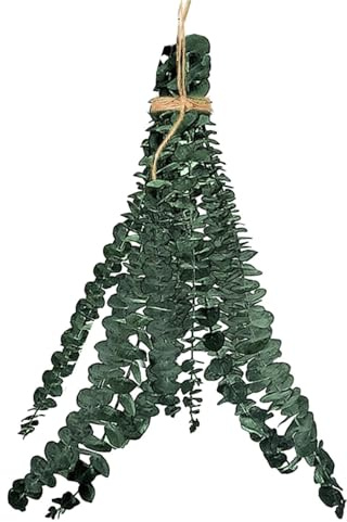 Dried Eucalyptus Bundles for Shower,Hanging Eucalyptus Plant Shower Dried Plant Bundle Decor Centerpiece for Bathroom House Living Room Home Spa Salon Apartment
