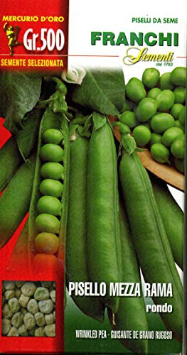 Graines de semences franches de qualité de pois nains, demi-rama, grimpantes en emballages divers (demi-rama rondo, 500 grammes)