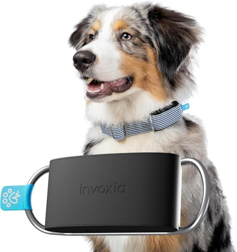 Invoxia Minitailz - Gesundheits- und GPS-Tracker für Hunde #1 - Herz- und Atemscans - Echtzeitstandort - Analyse von Aktivität und Wohlbefinden - Kompakt, leicht