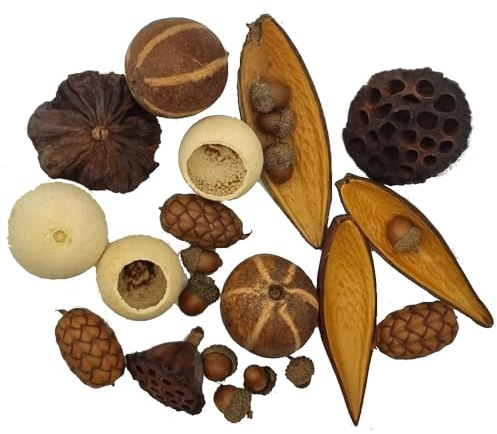 Natural Dried Seed & Pod Set – Eco-Friendly Decorative Botanicals with Bellani Pumpkins, Acorns, Bell Cups, Lotus Heads, Uxi & Canoinhas Pods – Rustic Home, Craft & Christmas Table Decorations