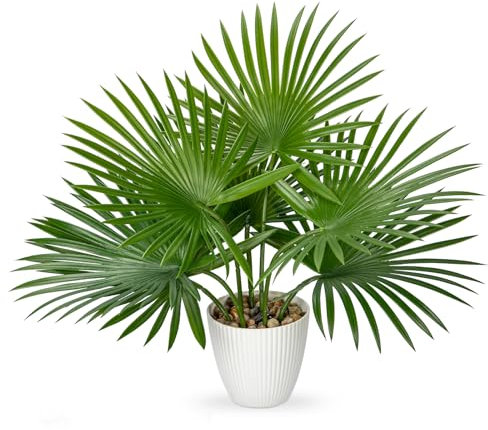 Oairse Kunstpflanze im Topf Künstliche Palme Deko Modern Kunstpalme Kunstpflanzen Kunststoff Pflanzendeko für Wohnzimmer Balkon Schlafzimmer Badezimmer Zimmer Tischdeko, Künstlicher Livistona Saribus