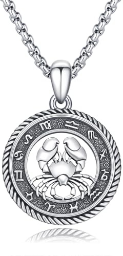 PARYFO Collier signe zodiaque, chaîne horoscope oxydée/or, pendentif constellations, astrologie, cadeau anniversaire hommes/femmes, 22MM, Argent