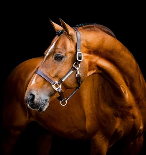 Horseware® Signatur lädergrimma