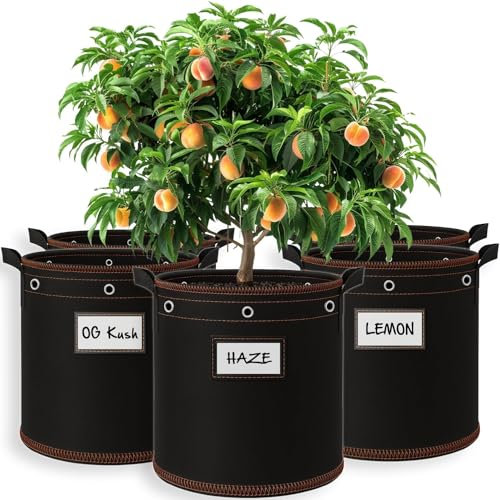 Kartoffel Pflanzsack 27L Pflanzsäcke für Tomaten Topf Pflanzkübel Mit Griff 5 Stück Stoff Töpfe Kartoffelsack zum Pflanzen Stofftopf 7 Gallon Stofftöpfe Saatkartoffeln Pflanzkartoffeln Pflanzentopf