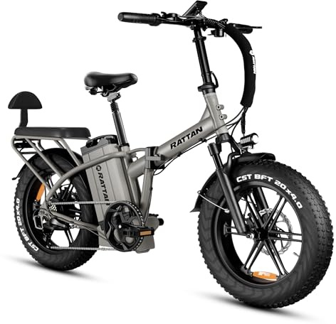 Rattan LM/LF Ultra Bicicleta Eléctrica Plegable, Batería 48V 40.5Ah 1944Wh, Autonomía 195km, 2 Plazas, Frenos Hidráulicos, Neumáticos Fat 20 x4,0 (LM Gris(40.5Ah), Standard)