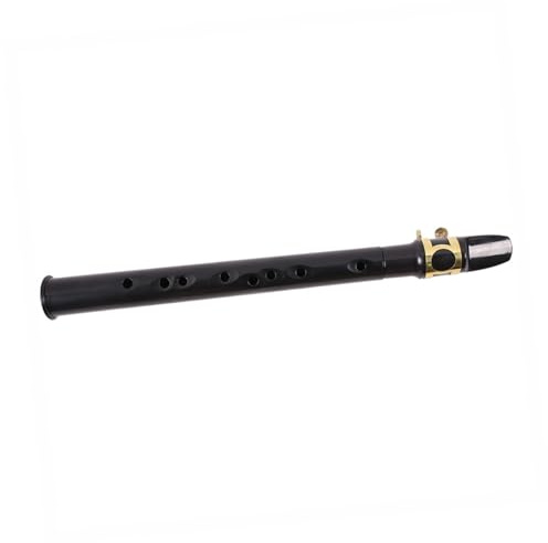 WESIEVYA 1pezzi Mini Saxophone Portatile Per Ragazzo Ragazza Strumento Musicale Fiato Facile Da Suonare Per Iniziare Nero