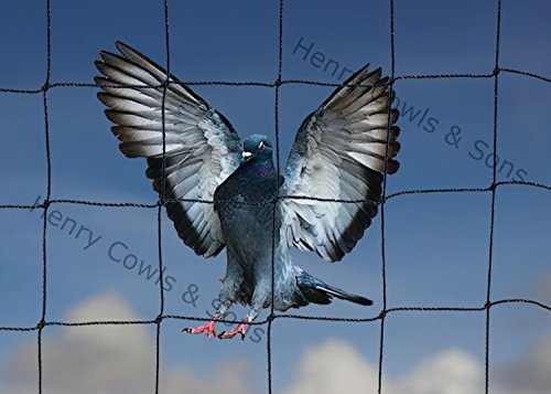 Bird Netting For the Garden 5m x 20m 50mm 2 Anti Pigeon Knotted Mesh Heavy Duty Black Net Protection