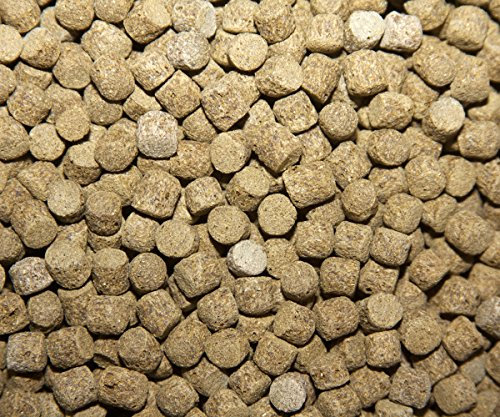 Spirulina 10 kg Mangime per Carpe Koi e Pesci da laghetto Galleggiante