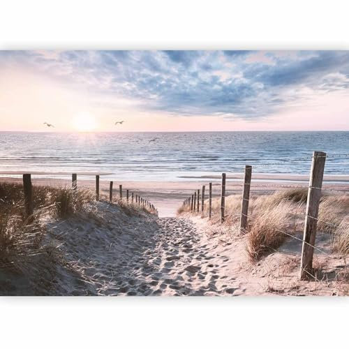 murando Papier peint intissé Plage Mer 200x140 cm Décoration Murale XXL Poster Tableaux Muraux Tapisserie Photo Paysage Oiseau Nature c-C-10032-a-a