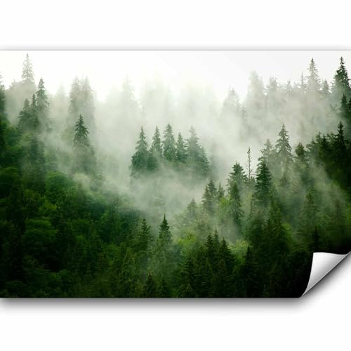 murando Fototapete Premium-Vlies Wald Nebel 350x256cm Foto Tapete Schlafzimmer Wohnzimmer Vliestapete XXL Motivtapeten Bildtapete 3d Effekt Wand Dekoration Flur Natur Landschaft skandinavisch