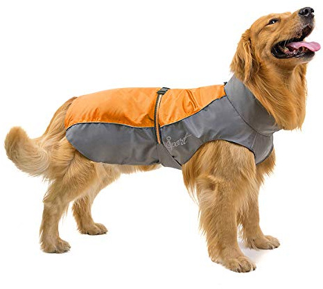 Ranphy Hunderegenmantel Wasserdicht für Mittlere und Große Hunde Reflektierend Regenhülle Atmungsaktive mit Bauchschutz Dackel Labrador Hundejacke Ultraleichte Sicheren Hundebekleidung Orange 4XL