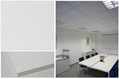 Panneaux de contre-plafond rectangulaires en fibre minérale effet buriné 60 x 120 x 15 5,76 M² (8 pièces) Lot de 8 panneaux Lay-on en appui