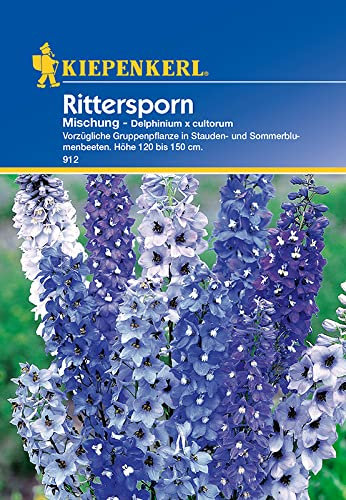 Delphinium Rittersporn mehrjährige Mischung