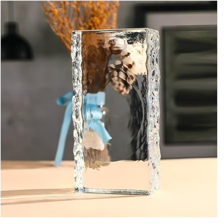 ZNQNDSR Bloques De Vidrio Transparentes Rectangulares Multifuncionales con Protección De Privacidad para El Baño, El Dormitorio Y El Hogar.(10PCS)