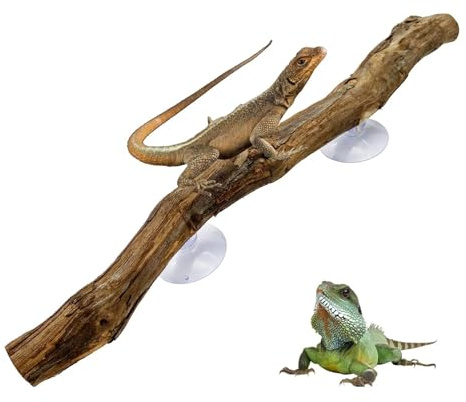 Reptilklättringsgrenar - Natural Terrarium Wood Decor, Safe Habitat Anrichment | Real Träklättringspinnar För Ödlor Gekko, Förbättrar Aktivitet Komfort, Idealisk För Vivarier Tropiska SE