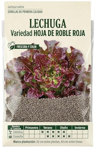 DECOALIVE – Semillas de Lechuga Hoja de Roble para Siembra en Huerto Urbano y Cultivo Doméstico
